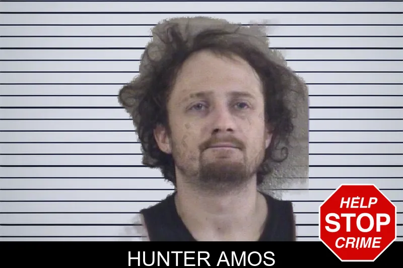Hunter Amos mugshot