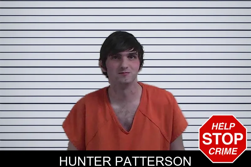 Hunter Patterson mugshot – Fannin County , Georgia Hunter Patterson mugshot