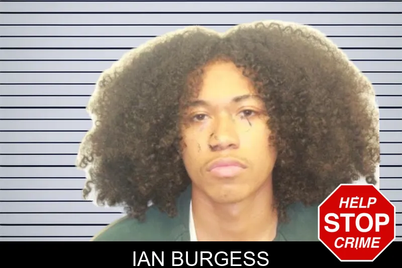 Ian Burgess mugshot – Chatham County , Georgia Ian Burgess mugshot