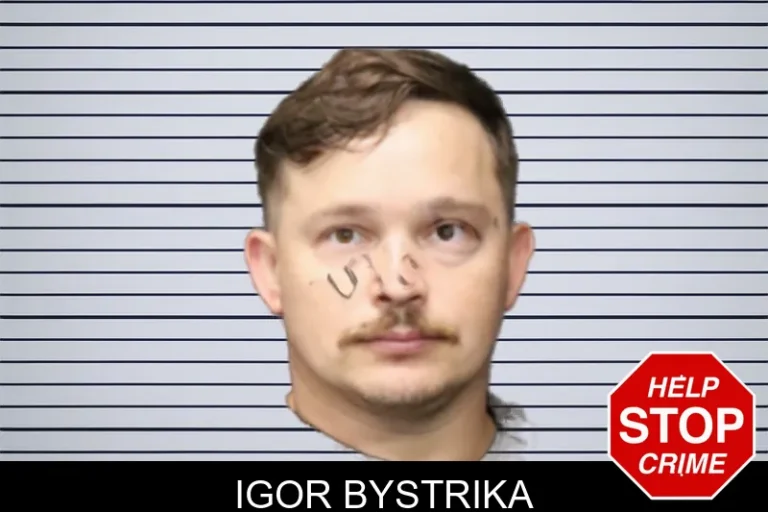 Igor Bystrika mugshot – Forsyth County , Georgia Igor Bystrika