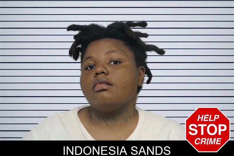 Indonesia Sands mugshot – Bibb County , Georgia Indonesia Sands mugshot