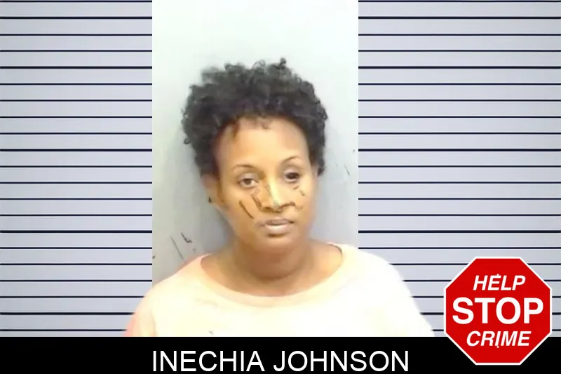 Inechia Johnson mugshot