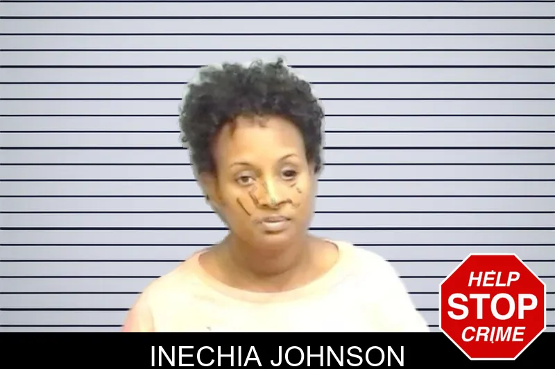 Inechia Johnson mugshot