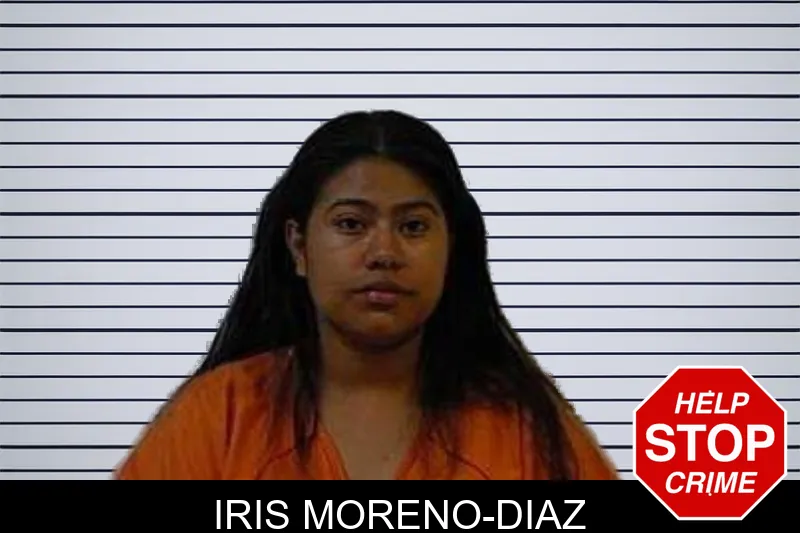 Iris Moreno-Diaz mugshot