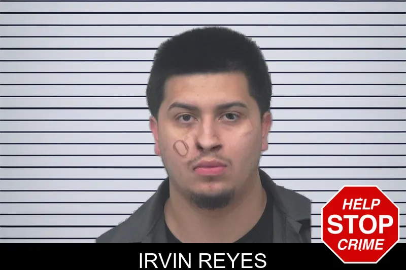 Irvin Reyes mugshot