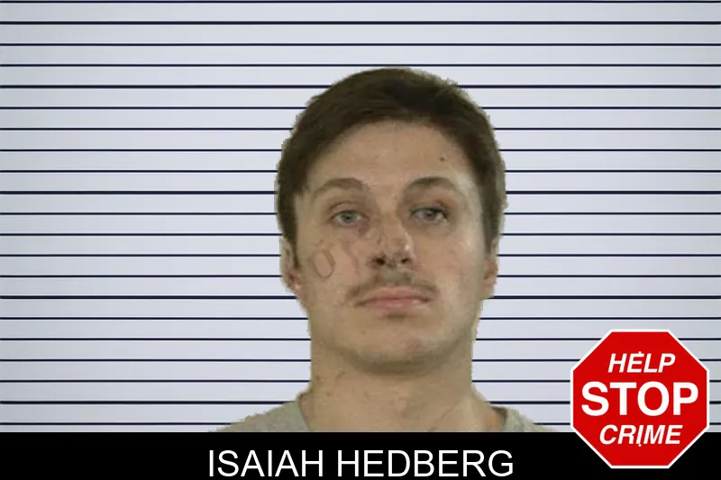 Isaiah Hedberg mugshot – Liberty County , Georgia Isaiah Hedberg mugshot