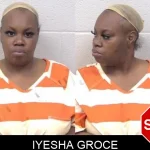 Iyesha Groce mugshot – Paulding County , Georgia Iyesha Groce mugshot