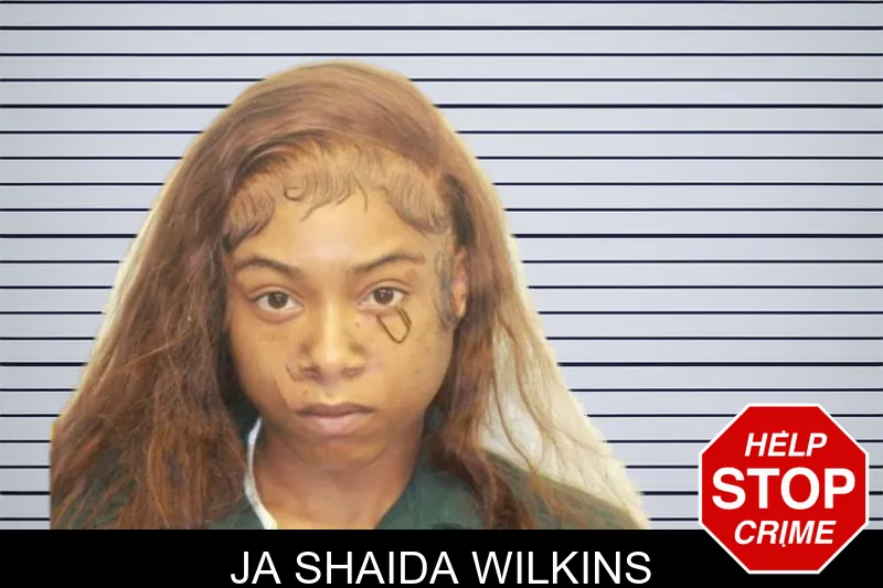 Ja Shaida Wilkins mugshot – Chatham County , Georgia Ja Shaida Wilkins mugshot
