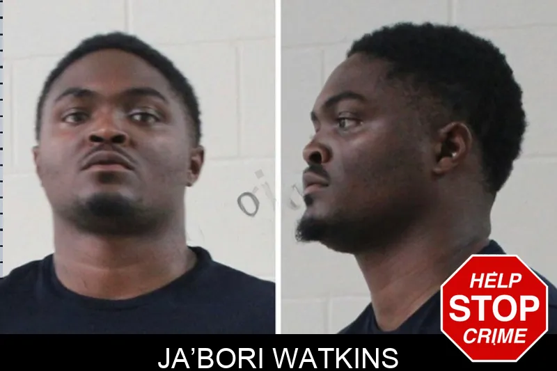 Ja’Bori Watkins mugshot – Houston County , Georgia Ja’Bori Watkins mugshot