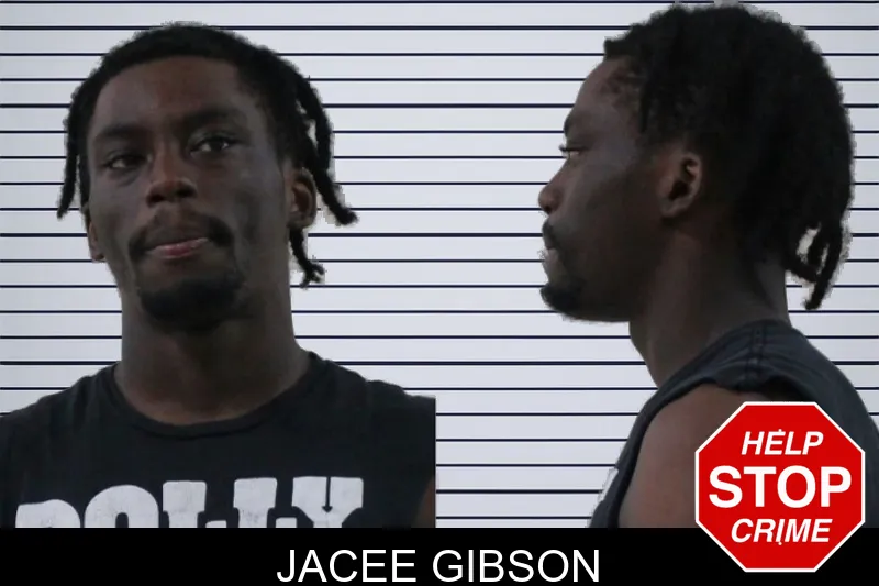 Jacee Gibson mugshot