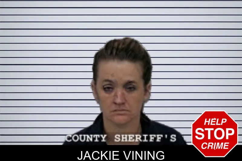 Jackie Vining mugshot – Walton County , Georgia Jackie Vining mugshot