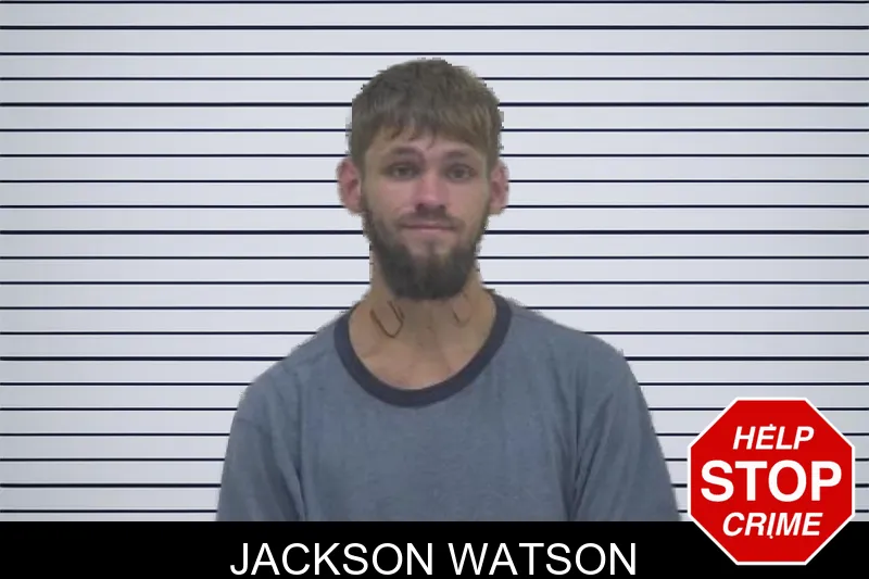 Jackson Watson mugshot – Coffee County , Georgia Jackson Watson mugshot
