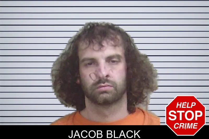 Jacob Black mugshot – Wayne County , Georgia Jacob Black mugshot