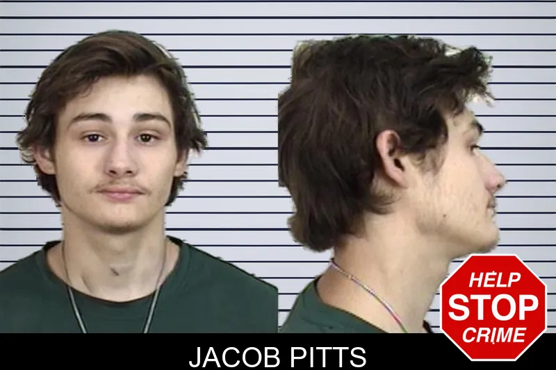 Jacob Pitts mugshot
