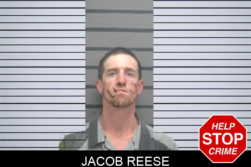 Jacob Reese mugshot – Dougherty County , Georgia Jacob Reese mugshot