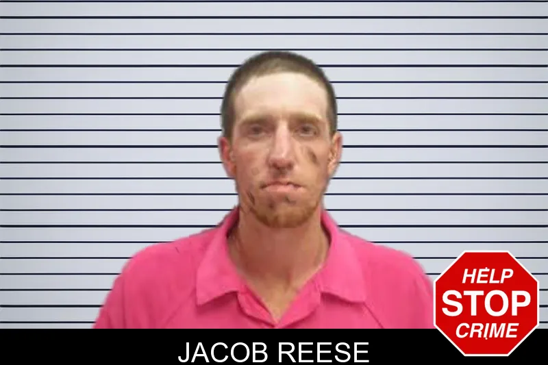 Jacob Reese mugshot