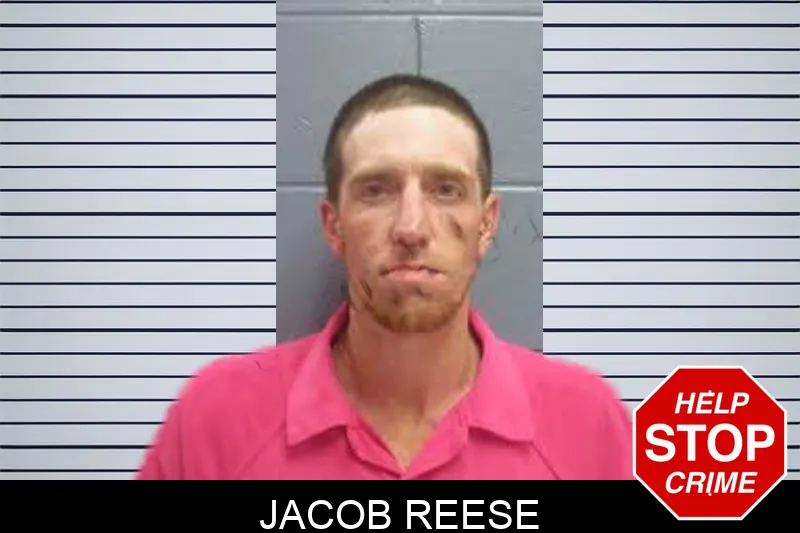 Jacob Reese mugshot