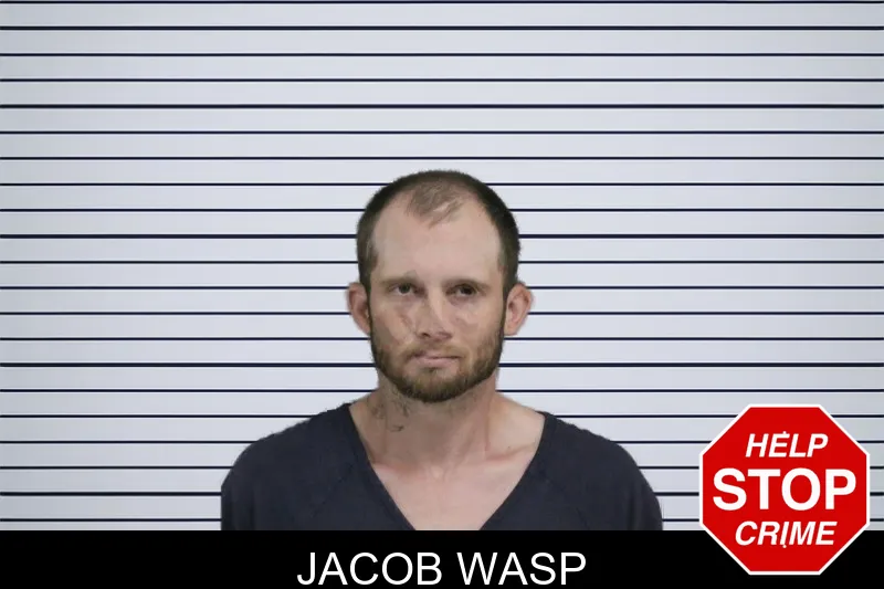 Jacob Wasp mugshot – Catoosa County , Georgia Jacob Wasp mugshot
