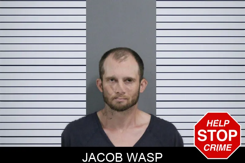 Jacob Wasp mugshot – Catoosa County , Georgia Jacob Wasp mugshot