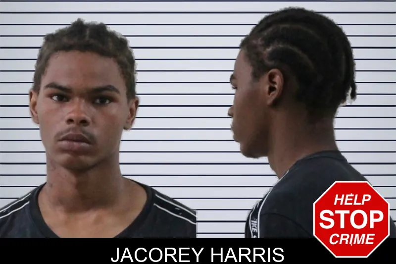 Jacorey Harris mugshot