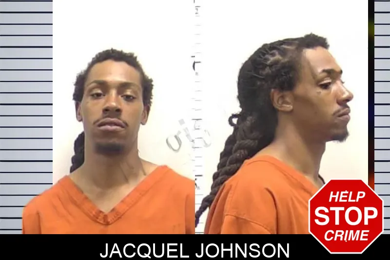 Jacquel Johnson mugshot