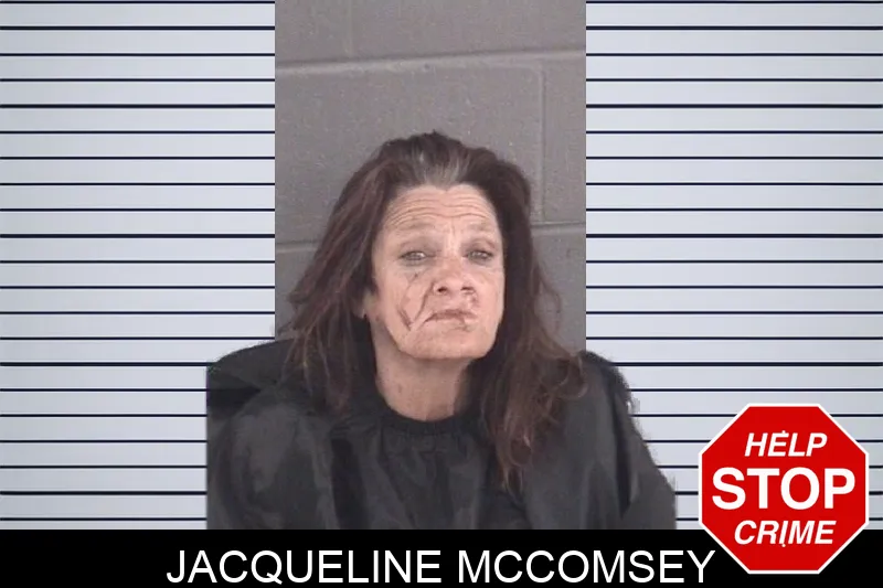 Jacqueline McComsey mugshot