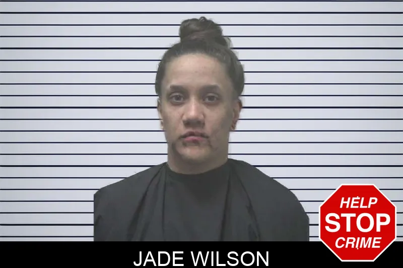 Jade Wilson mugshot