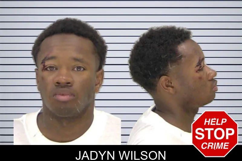 Jadyn Wilson mugshot