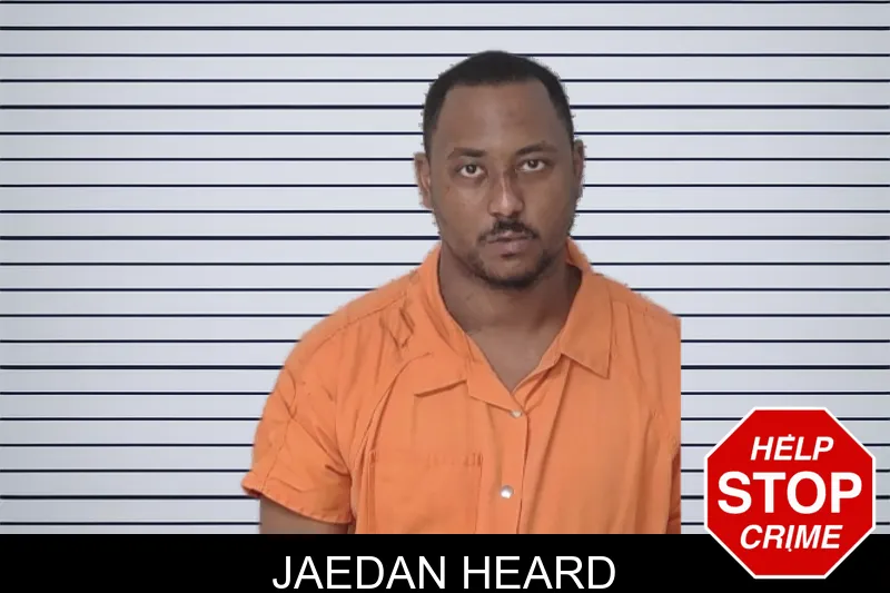 Jaedan Heard mugshot