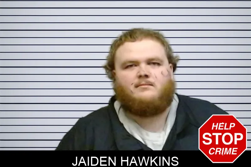 Jaiden Hawkins mugshot