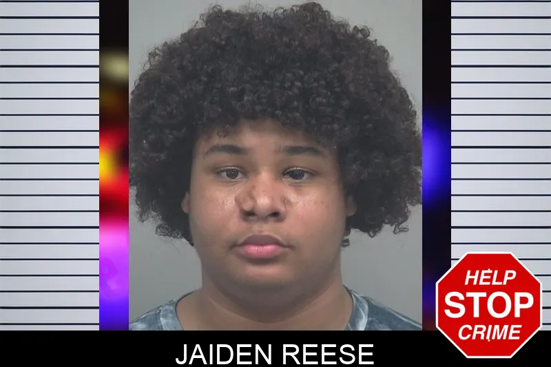 Jaiden Reese mugshot – Gwinnett County , Georgia Jaiden Reese mugshot