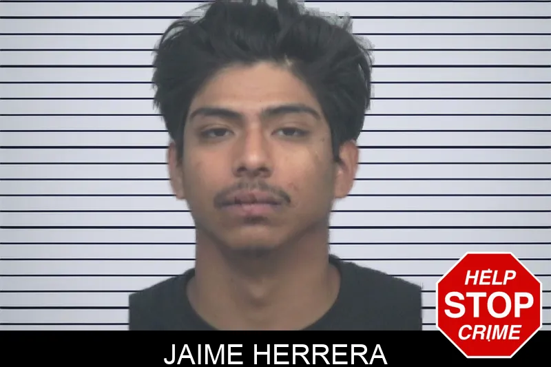 Jaime Herrera mugshot