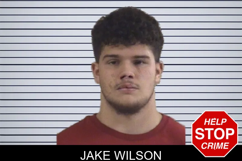 Jake Wilson mugshot