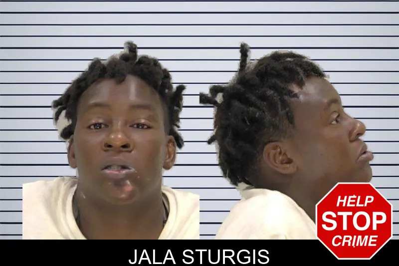 Jala Sturgis mugshot