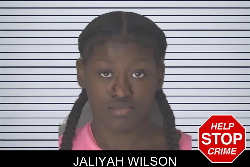 Jaliyah Wilson mugshot