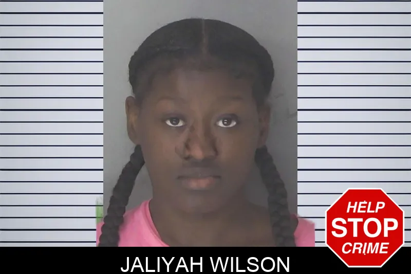 Jaliyah Wilson mugshot