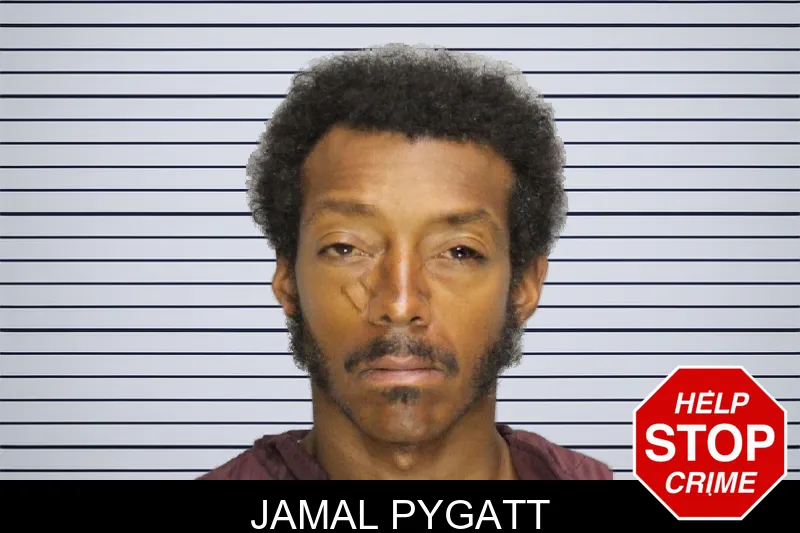 Jamal Pygatt mugshot – Cobb County , Georgia Jamal Pygatt mugshot