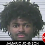 Jamario Johnson mugshot