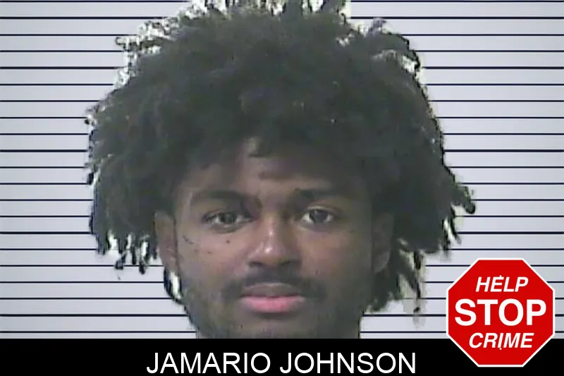 Jamario Johnson mugshot