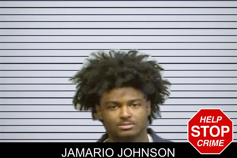 Jamario Johnson mugshot