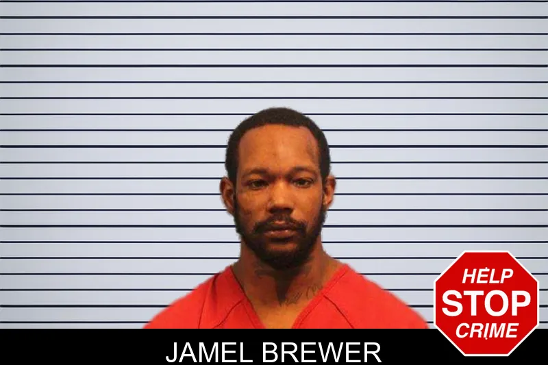 Jamel Brewer mugshot – Monroe County , Georgia Jamel Brewer mugshot