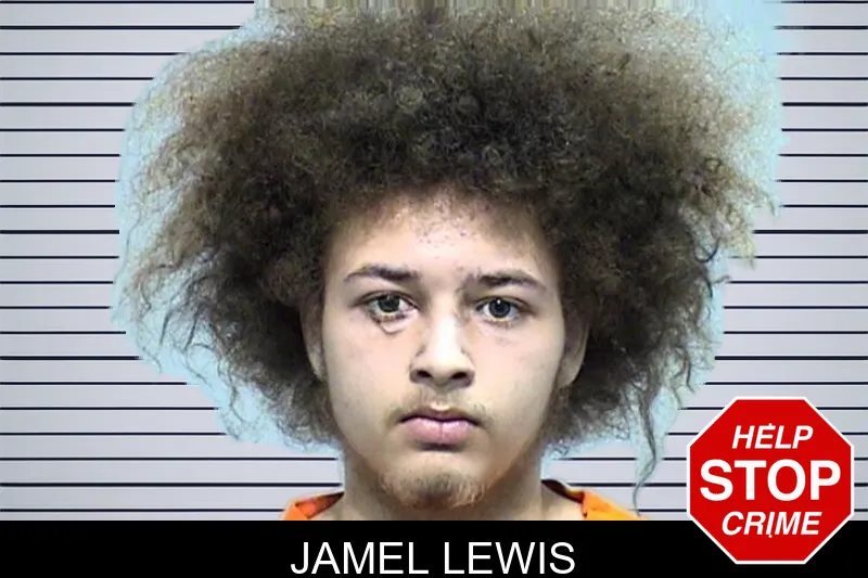 Jamel Lewis mugshot