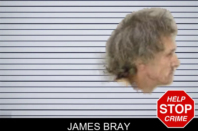 James Bray mugshot