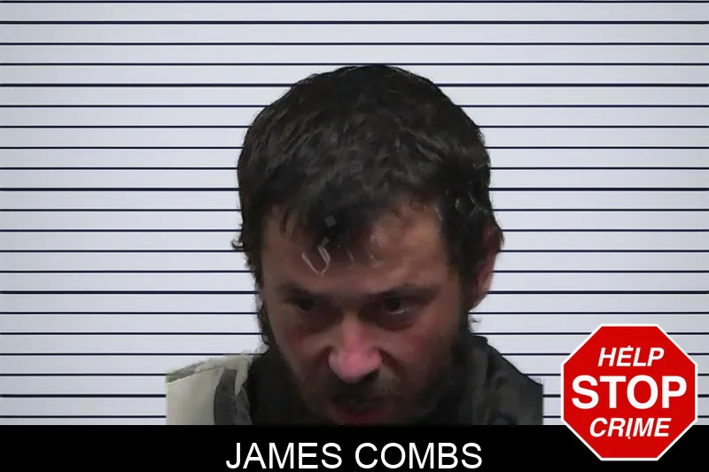 James Combs mugshot