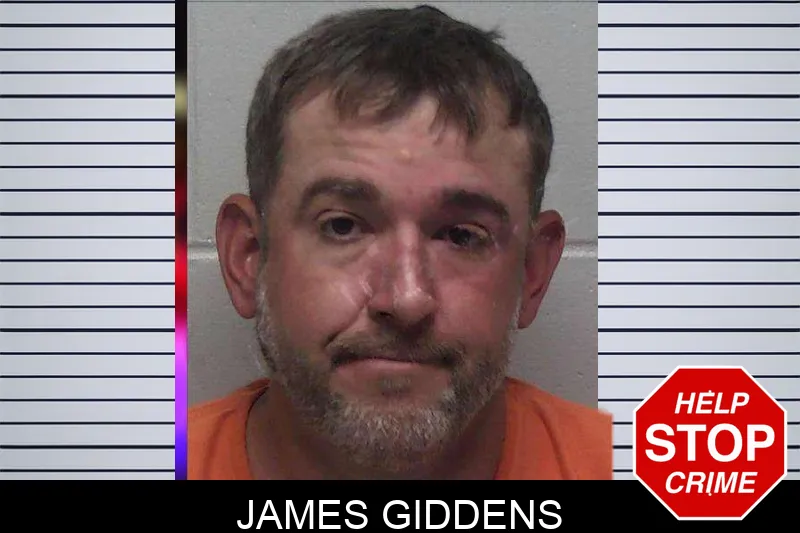James Giddens mugshot – Laurens County , Georgia James Giddens mugshot