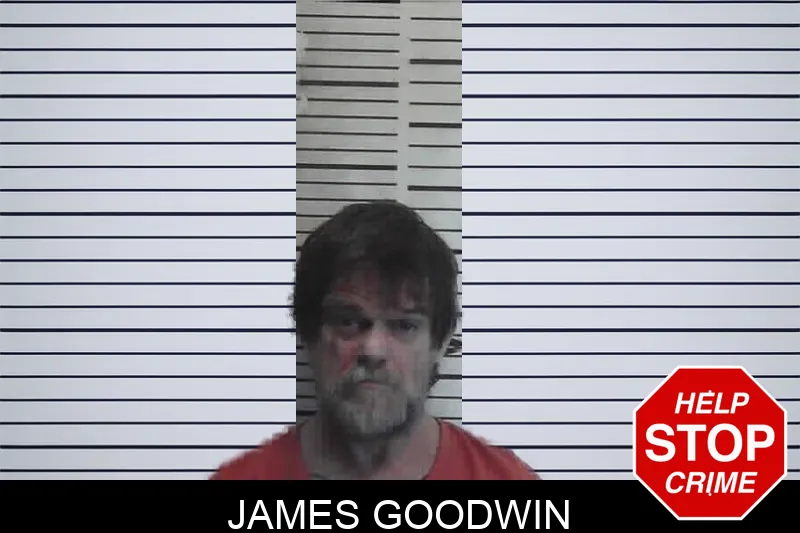 James Goodwin mugshot – Meriwether County , Georgia James Goodwin mugshot