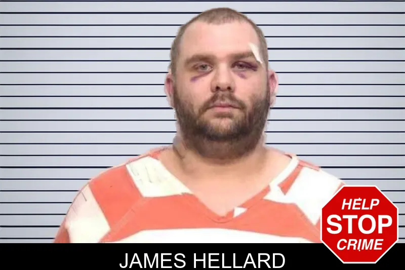 James Hellard mugshot