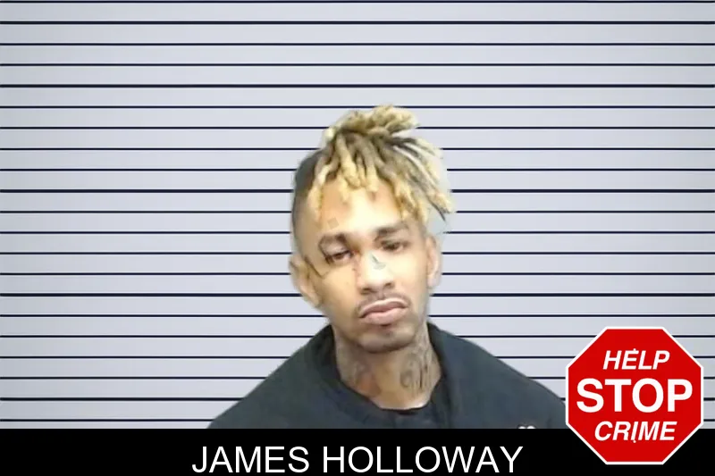 James Holloway mugshot