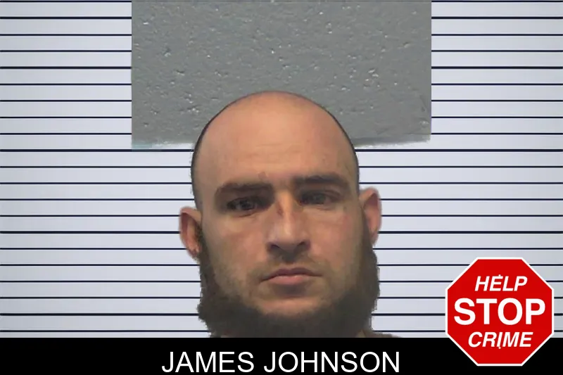 James Johnson mugshot