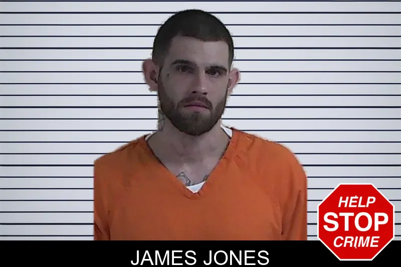 James Jones mugshot – Fannin County , Georgia James Jones mugshot